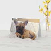 Wenskaart Kaart (Gele Bloem)