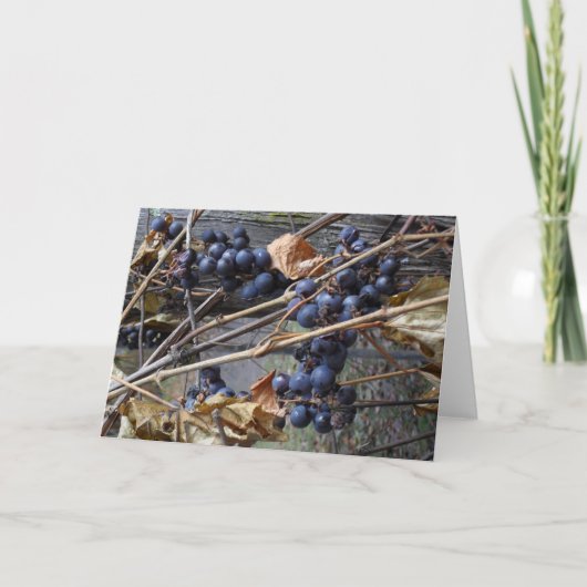 wenskaart kaart (Voorkant)