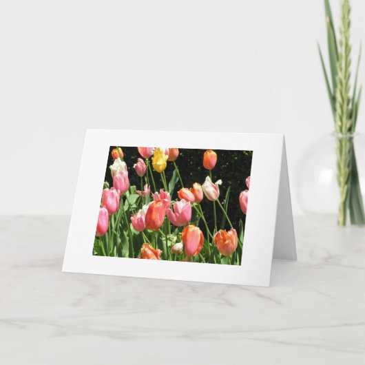 Wenskaart Kaart (Voorkant)