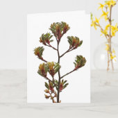 Wenskaart - Kangaroo Paw Kaart (Gele Bloem)