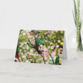 WENSKAART - Kangoeroe Paw Kaart (Voorkant)