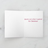 Wenskaart kerstdachshund feestdagen kaart (Binnen)