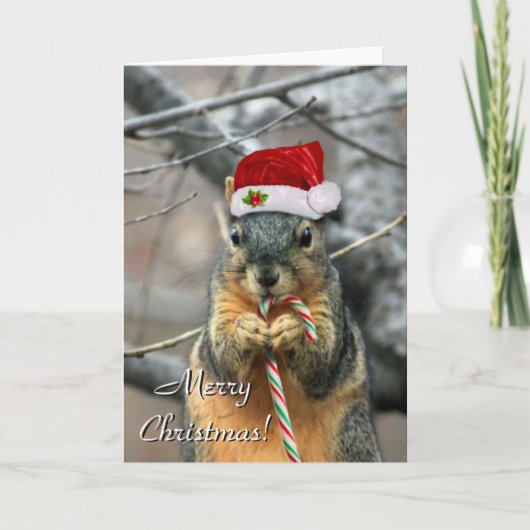 Wenskaart kersteekhoorn feestdagen kaart (Voorkant)