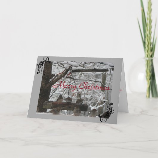 Wenskaart - Kerstmis - FeatheredFriends Feestdagen Kaart (Voorkant)
