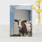 Wenskaart koe en kerncentrale koeltoren kaart (Gele Bloem)
