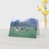 Wenskaart - Koeien in kleur Kaart (Gele Bloem)