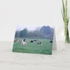 Wenskaart - Koeien in kleur Kaart