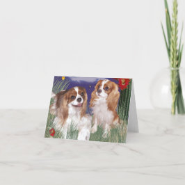 Wenskaart, Koning Charles Cavalier Spaniel Kaart