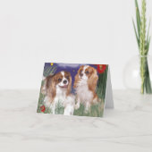Wenskaart, Koning Charles Cavalier Spaniel Kaart (Voorkant)