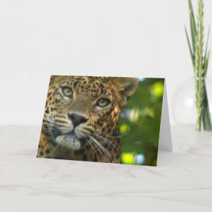 Wenskaart leopard kaart