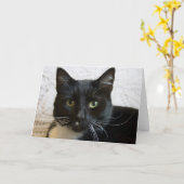 Wenskaart: Lilly Kaart (Gele Bloem)