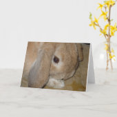Wenskaart - Lop Eared Dwarf Rabbit Kaart (Gele Bloem)