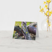 Wenskaart Manzanita Kaart (Gele Bloem)