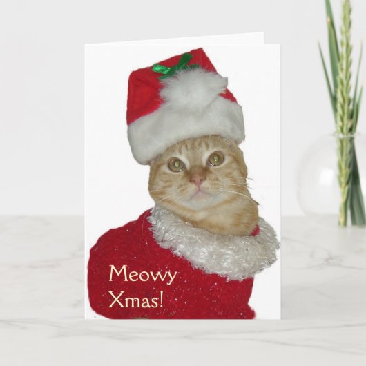 wenskaart "Meowy Xmas" Feestdagen Kaart (Voorkant)