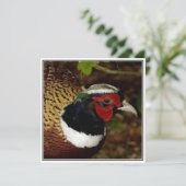 Wenskaart met afbeelding van een fazanthoofd kaart (Staand voorkant)
