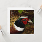 Wenskaart met afbeelding van een fazanthoofd kaart (Voorkant / Achterkant in situ)