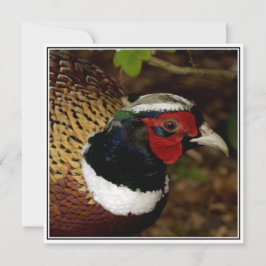 Wenskaart met afbeelding van een fazanthoofd kaart