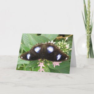 Wenskaart met blauw gepotte vlinder kaart