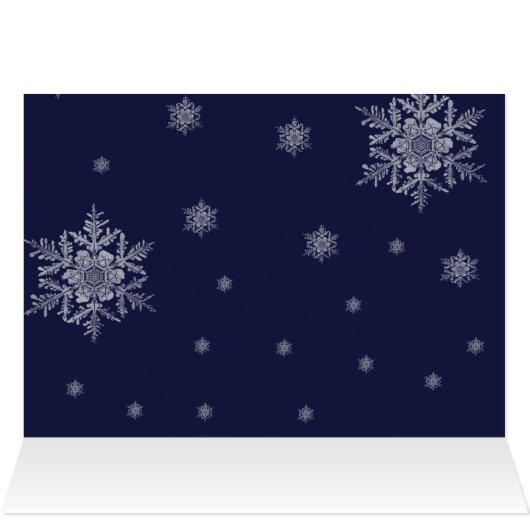 Wenskaart met blauwe rendieren (Binnen Horizontaal (Boven))