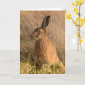 Wenskaart met bruine hazen kaart (Gele Bloem)