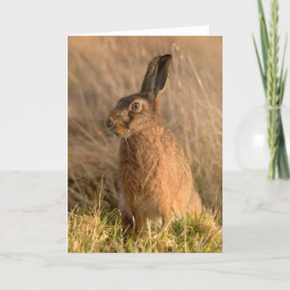 Wenskaart met bruine hazen kaart