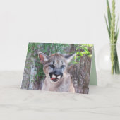 Wenskaart met cougar Cub Kaart (Voorkant)