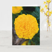 Wenskaart met één geel marigold kaart (Gele Bloem)