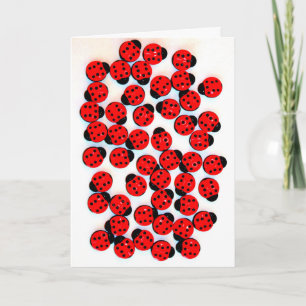 WENSKAART MET EEN LADY BUGS KAART