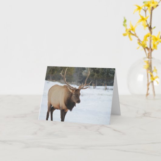 Wenskaart met elk kaart (Gele Bloem)