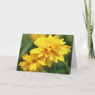 Wenskaart met gele bloemenomslag kaart