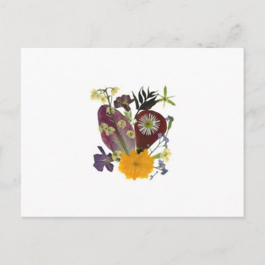 Wenskaart met geperste bloemen briefkaart (Voorkant)