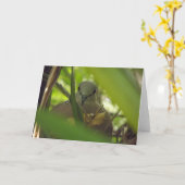 Wenskaart met gepotte schildpadden kaart (Gele Bloem)