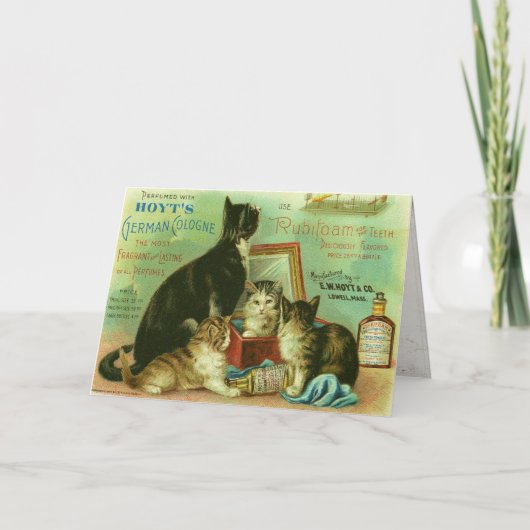 Wenskaart met  illustratie van Kittens Kaart (Voorkant)