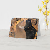 Wenskaart met Katten, Grieks Ontwerp, Spatie Kaart (Gele Bloem)