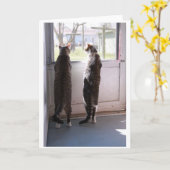 Wenskaart met katten kaart (Gele Bloem)