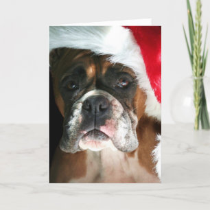 Wenskaart met kerstboxer Dog Feestdagen Kaart