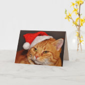 Wenskaart met kerstkatten kaart (Gele Bloem)