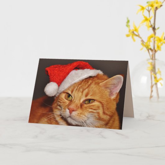 Wenskaart met kerstkatten kaart (Gele Bloem)