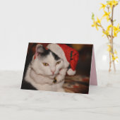 Wenskaart met kerstkatten kaart (Gele Bloem)
