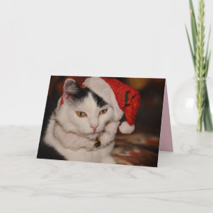 Wenskaart met kerstkatten kaart