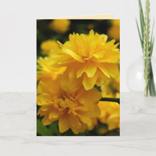 Wenskaart met kleine gele bloemen kaart