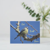 Wenskaart met Kleine Vogel met Blauwe Lucht Beters Briefkaart (Staand voorkant)