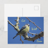 Wenskaart met Kleine Vogel met Blauwe Lucht Beters Briefkaart (Voorkant / Achterkant)