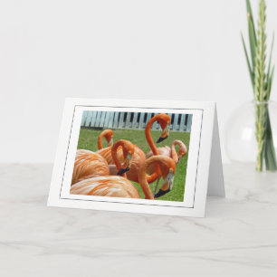 Wenskaart met kleurrijke flamingos kaart