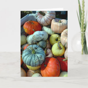 Wenskaart met kleurrijke pompoenen feestdagen kaart