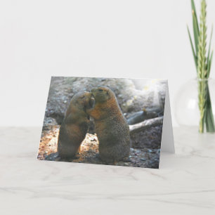 Wenskaart met knuffelpaar marmotten kaart