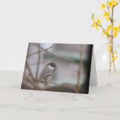 Wenskaart met mees kaart (Gele Bloem)
