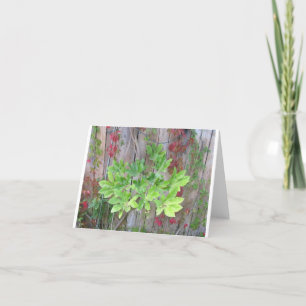 Wenskaart met mooie bladeren op een hek. bedankkaart