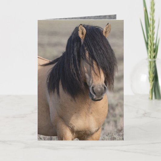 Wenskaart met portret van Fallen Star (Voorkant)
