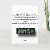 Wenskaart met rode en roze tulp kaart (Achterkant)